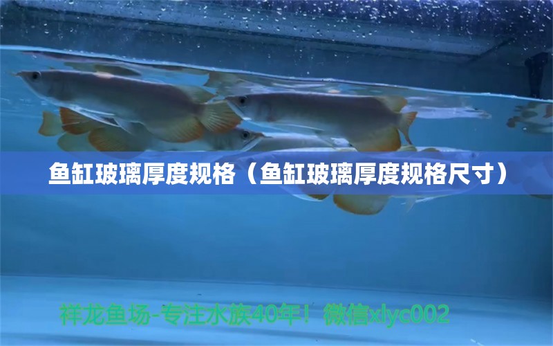 魚缸玻璃厚度規(guī)格（魚缸玻璃厚度規(guī)格尺寸）