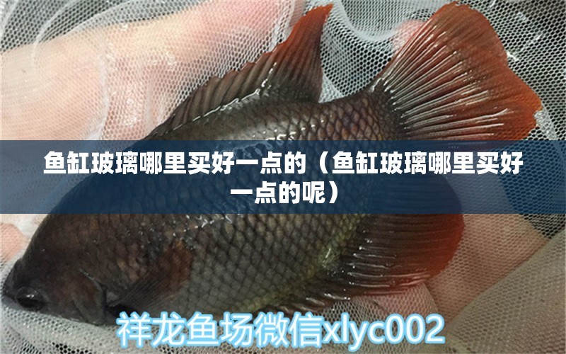 魚缸玻璃哪里買好一點(diǎn)的（魚缸玻璃哪里買好一點(diǎn)的呢）