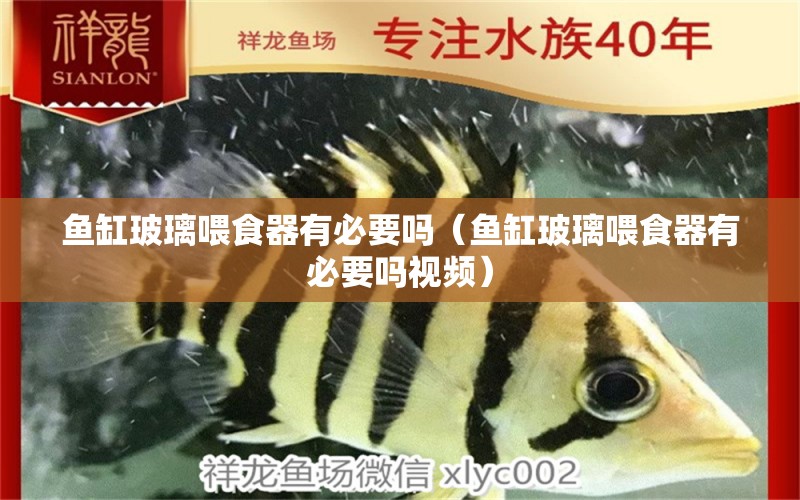 魚缸玻璃喂食器有必要嗎（魚缸玻璃喂食器有必要嗎視頻）