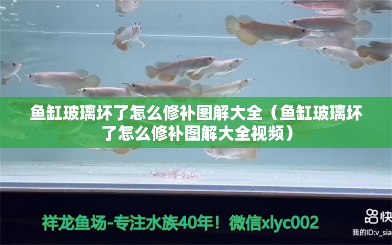 魚缸玻璃壞了怎么修補(bǔ)圖解大全（魚缸玻璃壞了怎么修補(bǔ)圖解大全視頻）