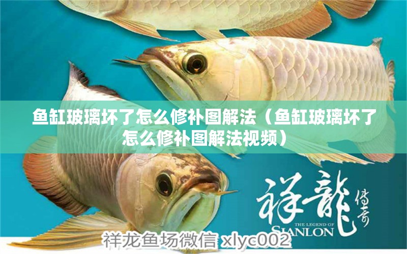 魚缸玻璃壞了怎么修補(bǔ)圖解法（魚缸玻璃壞了怎么修補(bǔ)圖解法視頻）