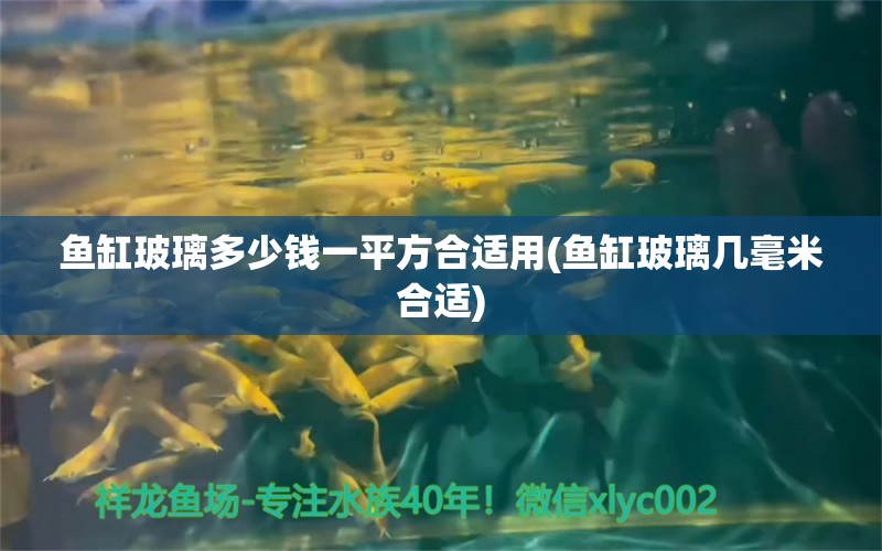 魚缸玻璃多少錢一平方合適用(魚缸玻璃幾毫米合適) 蝴蝶鯉魚苗 第1張