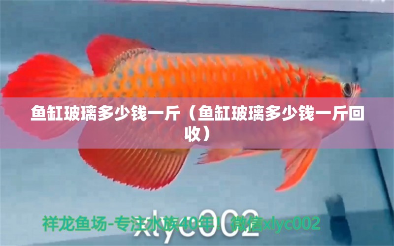 魚缸玻璃多少錢一斤（魚缸玻璃多少錢一斤回收）