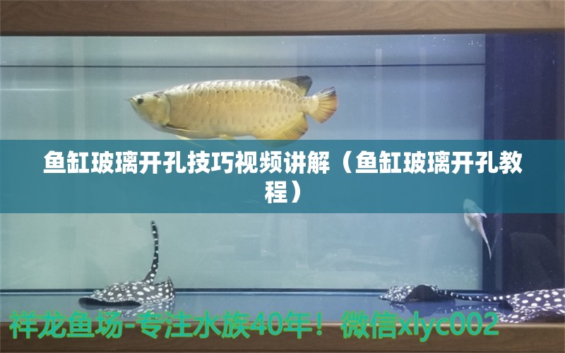 魚缸玻璃開(kāi)孔技巧視頻講解（魚缸玻璃開(kāi)孔教程）