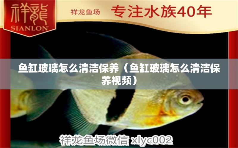 魚缸玻璃怎么清潔保養(yǎng)（魚缸玻璃怎么清潔保養(yǎng)視頻）