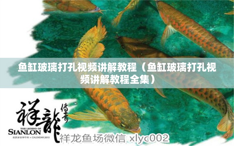 魚缸玻璃打孔視頻講解教程（魚缸玻璃打孔視頻講解教程全集）