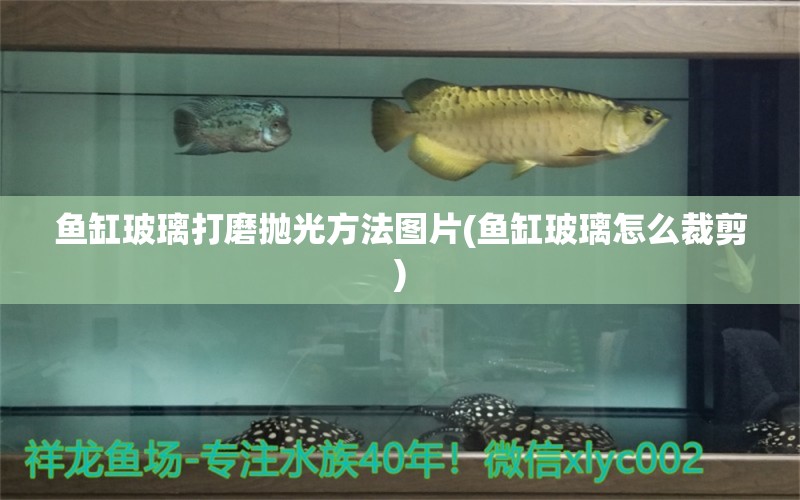 魚缸玻璃打磨拋光方法圖片(魚缸玻璃怎么裁剪) 朱巴利魚