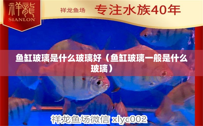 魚(yú)缸玻璃是什么玻璃好（魚(yú)缸玻璃一般是什么玻璃）