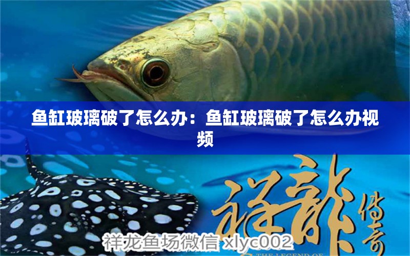 魚(yú)缸玻璃破了怎么辦：魚(yú)缸玻璃破了怎么辦視頻