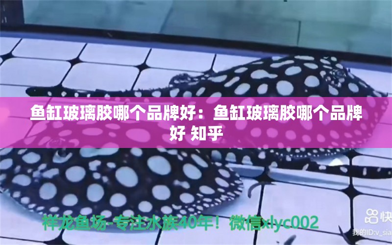 魚缸玻璃膠哪個品牌好：魚缸玻璃膠哪個品牌好 知乎 廣州龍魚批發(fā)市場