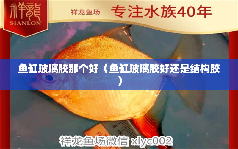 魚缸玻璃膠那個好（魚缸玻璃膠好還是結(jié)構(gòu)膠） 祥龍水族醫(yī)院