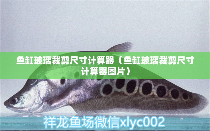 魚缸玻璃裁剪尺寸計(jì)算器（魚缸玻璃裁剪尺寸計(jì)算器圖片） 其他品牌魚缸