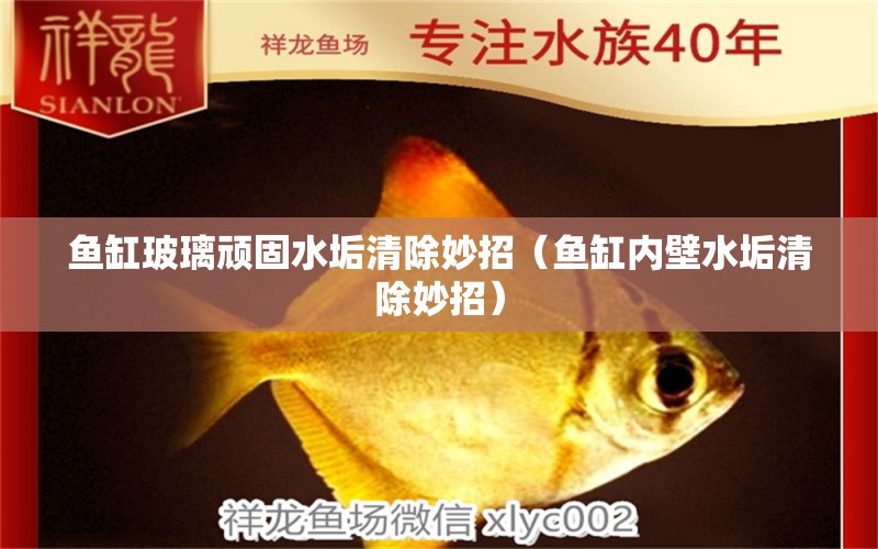 魚缸玻璃頑固水垢清除妙招（魚缸內(nèi)壁水垢清除妙招）