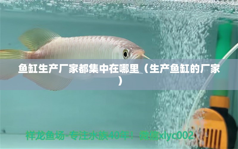 魚缸生產(chǎn)廠家都集中在哪里（生產(chǎn)魚缸的廠家） 其他品牌魚缸