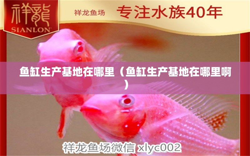 魚缸生產(chǎn)基地在哪里（魚缸生產(chǎn)基地在哪里?。?其他品牌魚缸