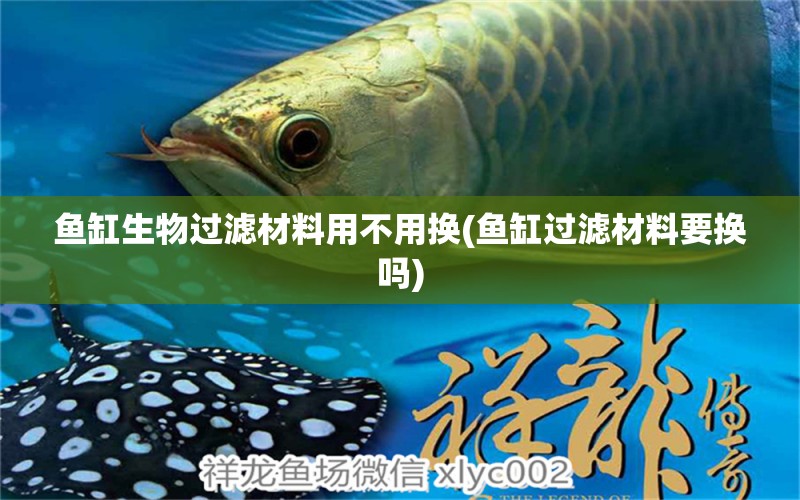 魚缸生物過濾材料用不用換(魚缸過濾材料要換嗎)