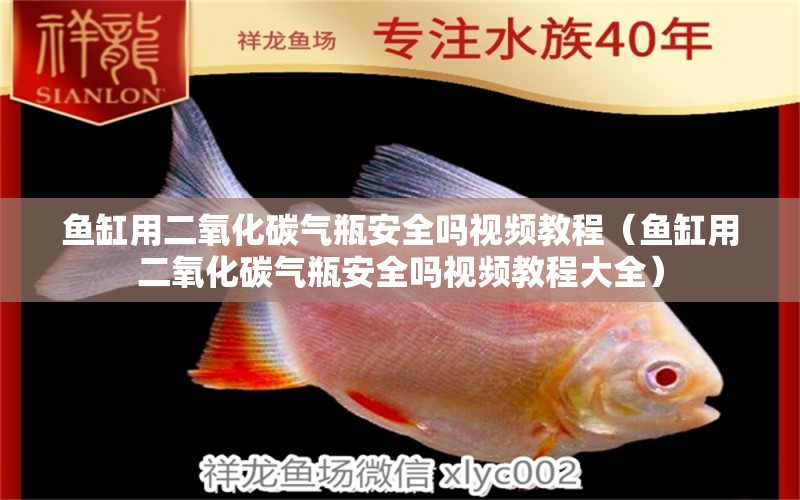 魚缸用二氧化碳氣瓶安全嗎視頻教程（魚缸用二氧化碳氣瓶安全嗎視頻教程大全） 二氧化碳設備