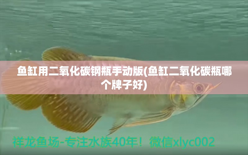 魚缸用二氧化碳鋼瓶手動版(魚缸二氧化碳瓶哪個牌子好) 二氧化碳設(shè)備