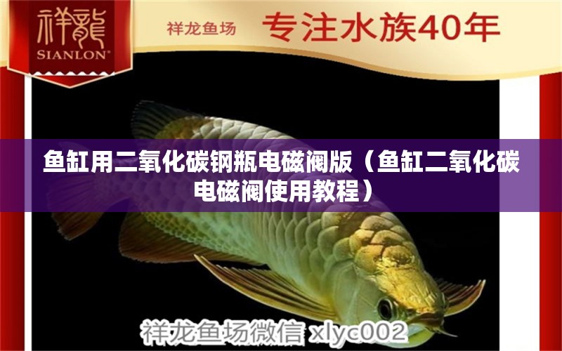 魚(yú)缸用二氧化碳鋼瓶電磁閥版（魚(yú)缸二氧化碳電磁閥使用教程）