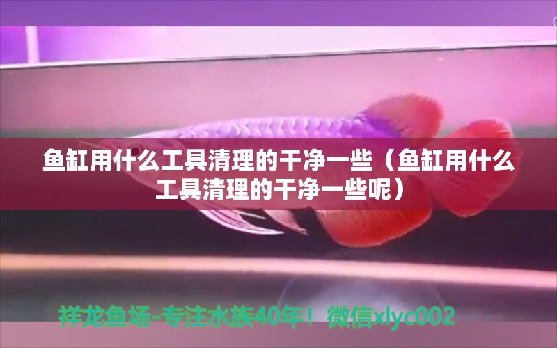 魚缸用什么工具清理的干凈一些（魚缸用什么工具清理的干凈一些呢）