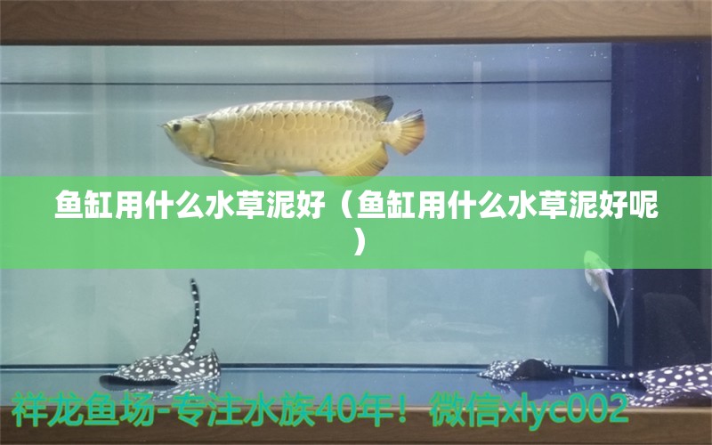 魚缸用什么水草泥好（魚缸用什么水草泥好呢）