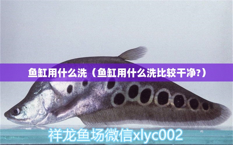 魚缸用什么洗（魚缸用什么洗比較干凈?） 祥龍水族醫(yī)院