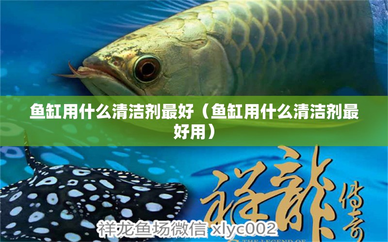 魚缸用什么清潔劑最好（魚缸用什么清潔劑最好用）