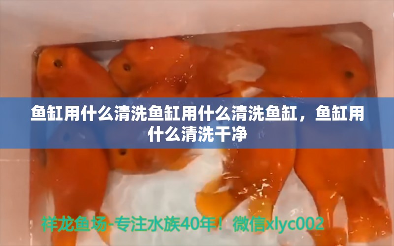 魚缸用什么清洗魚缸用什么清洗魚缸，魚缸用什么清洗干凈