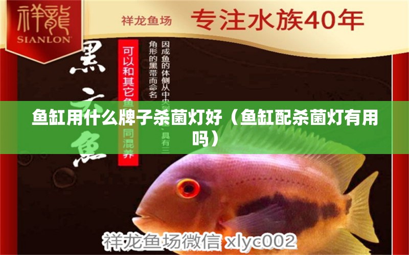 魚缸用什么牌子殺菌燈好（魚缸配殺菌燈有用嗎）