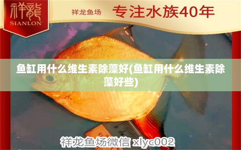 魚缸用什么維生素除藻好(魚缸用什么維生素除藻好些)