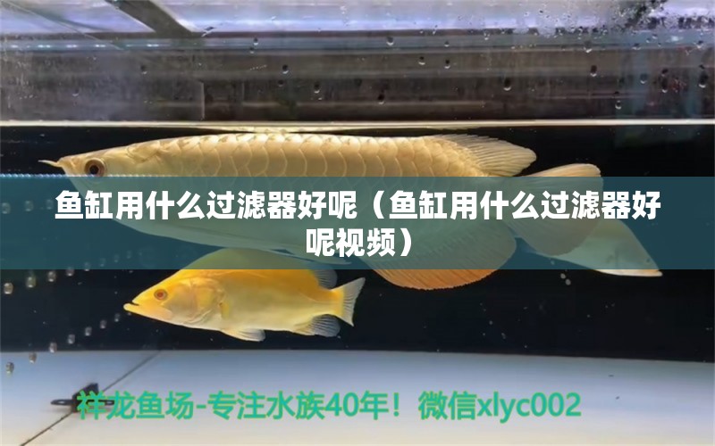 魚缸用什么過濾器好呢（魚缸用什么過濾器好呢視頻）