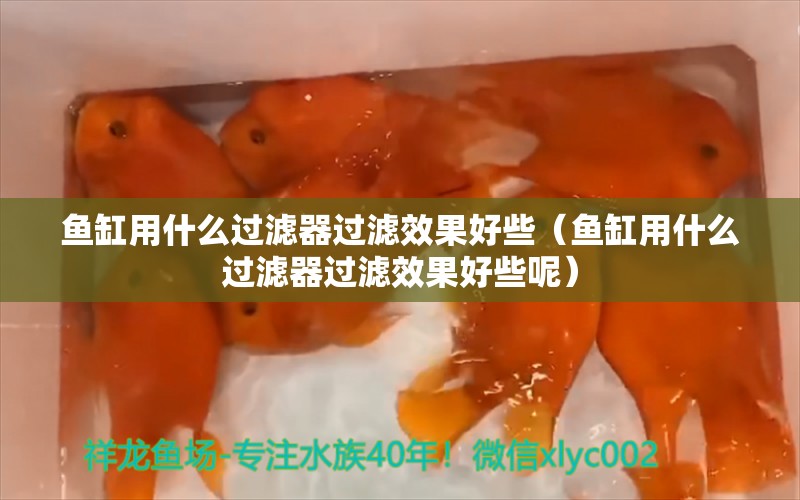 魚缸用什么過濾器過濾效果好些（魚缸用什么過濾器過濾效果好些呢） 量子養(yǎng)魚技術(shù)