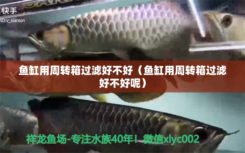 魚缸用周轉(zhuǎn)箱過濾好不好（魚缸用周轉(zhuǎn)箱過濾好不好呢）