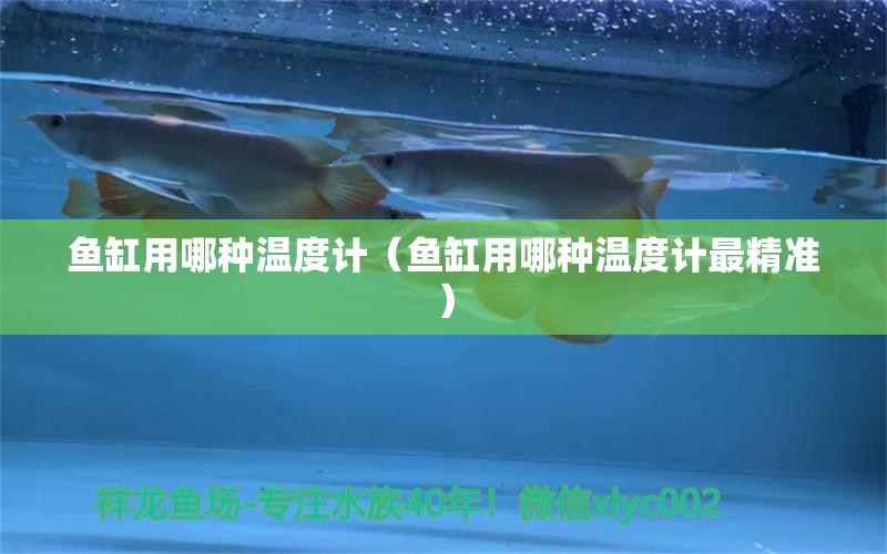 魚缸用哪種溫度計（魚缸用哪種溫度計最精準(zhǔn)） 廣州觀賞魚批發(fā)市場