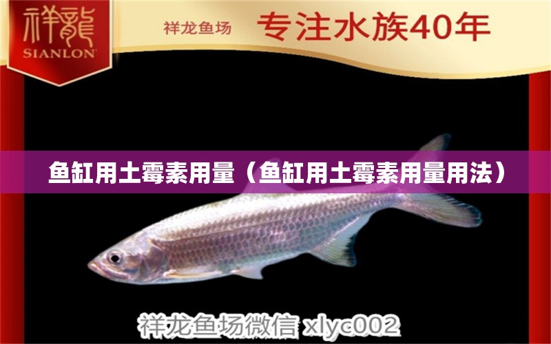 魚缸用土霉素用量（魚缸用土霉素用量用法） 量子養(yǎng)魚技術