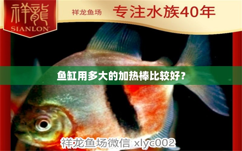 魚缸用多大的加熱棒比較好？ 觀賞魚