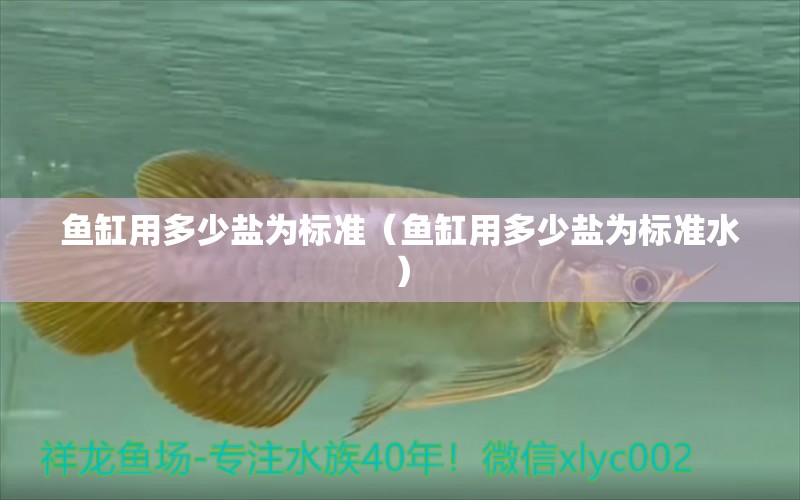 魚缸用多少鹽為標準（魚缸用多少鹽為標準水）