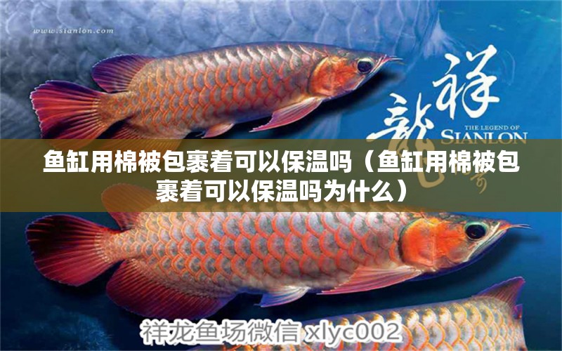 魚缸用棉被包裹著可以保溫嗎（魚缸用棉被包裹著可以保溫嗎為什么）