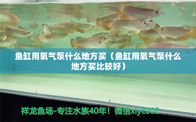 魚缸用氧氣泵什么地方買（魚缸用氧氣泵什么地方買比較好）