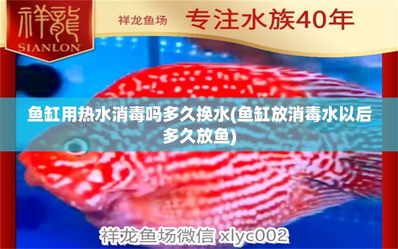 魚(yú)缸用熱水消毒嗎多久換水(魚(yú)缸放消毒水以后多久放魚(yú)) 丹頂錦鯉魚(yú)