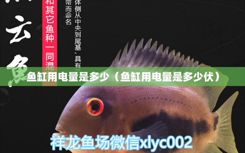 魚缸用電量是多少（魚缸用電量是多少伏）