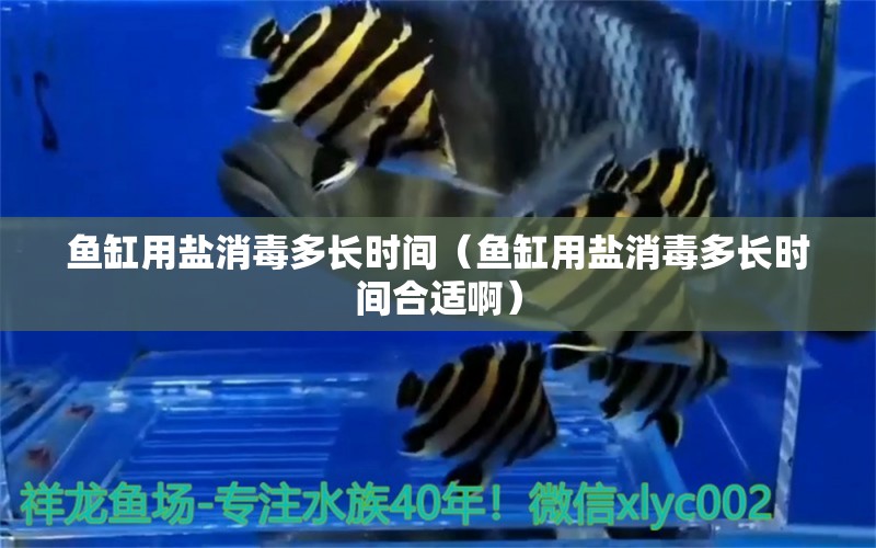 魚缸用鹽消毒多長時(shí)間（魚缸用鹽消毒多長時(shí)間合適?。?觀賞魚市場（混養(yǎng)魚）