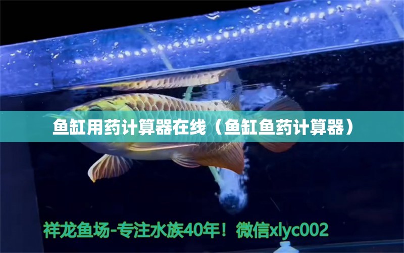 魚缸用藥計(jì)算器在線（魚缸魚藥計(jì)算器） 一眉道人魚