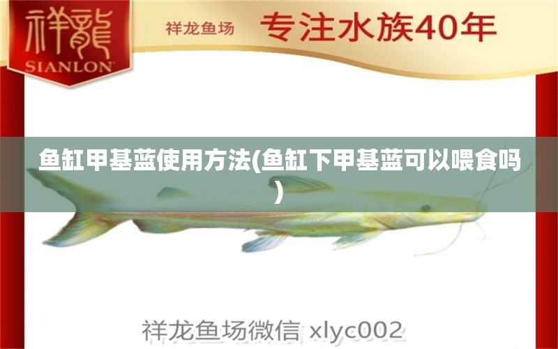 魚缸甲基藍使用方法(魚缸下甲基藍可以喂食嗎)