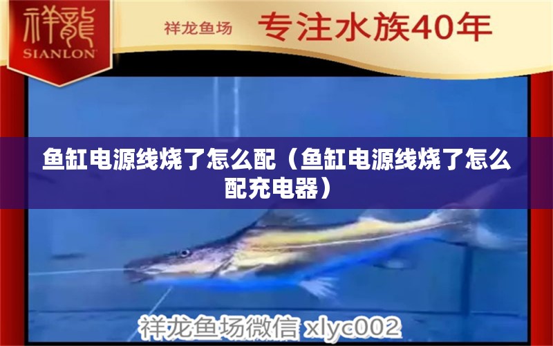 魚(yú)缸電源線燒了怎么配（魚(yú)缸電源線燒了怎么配充電器）