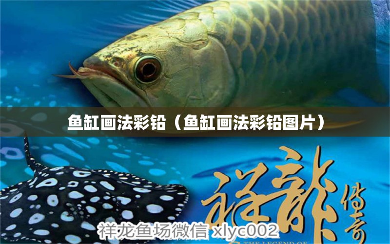 魚缸畫法彩鉛（魚缸畫法彩鉛圖片） 黃金斑馬魚