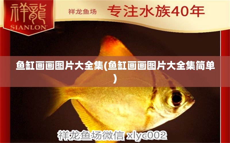 魚缸畫畫圖片大全集(魚缸畫畫圖片大全集簡單) 羽毛刀魚苗