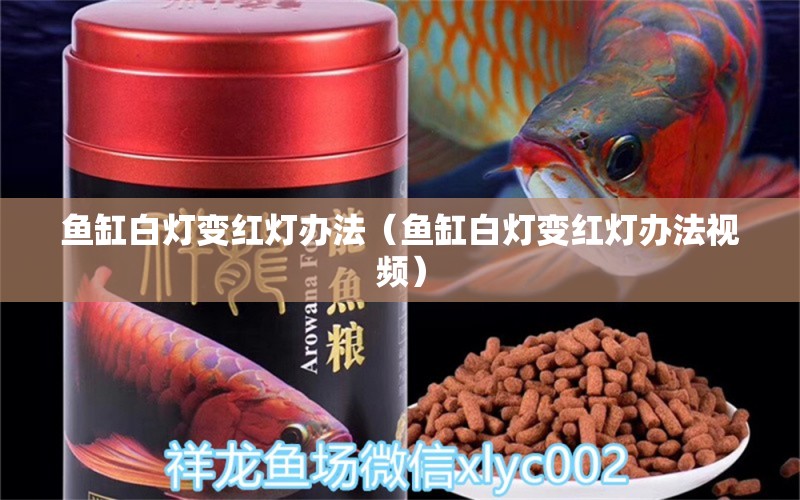 魚缸白燈變紅燈辦法（魚缸白燈變紅燈辦法視頻）