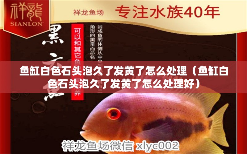 魚(yú)缸白色石頭泡久了發(fā)黃了怎么處理（魚(yú)缸白色石頭泡久了發(fā)黃了怎么處理好）