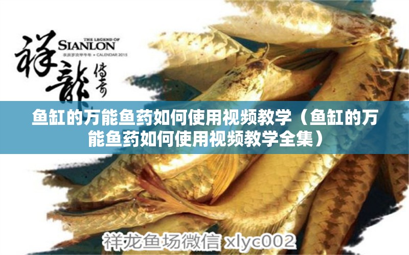 魚缸的萬能魚藥如何使用視頻教學(xué)（魚缸的萬能魚藥如何使用視頻教學(xué)全集） 其他益生菌